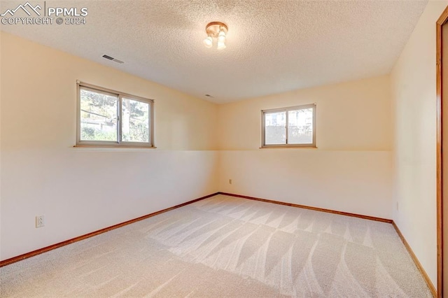 carpeted empty room with a textured ceiling and a healthy amount of sunlight