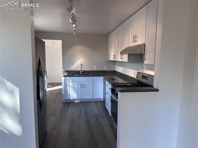 kitchen featuring white cabinets, rail lighting, dark hardwood / wood-style floors, sink, and stainless steel appliances