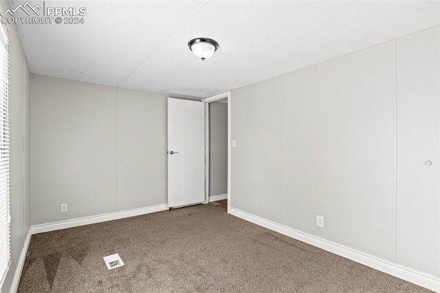 carpeted spare room with a wealth of natural light