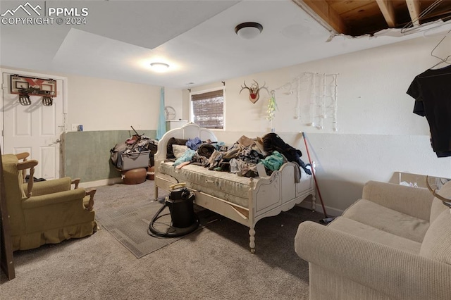 bedroom with carpet floors