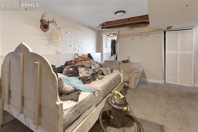 view of carpeted bedroom