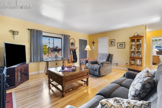 living room with light wood-type flooring