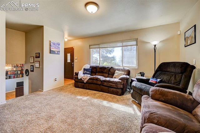 living room featuring carpet flooring