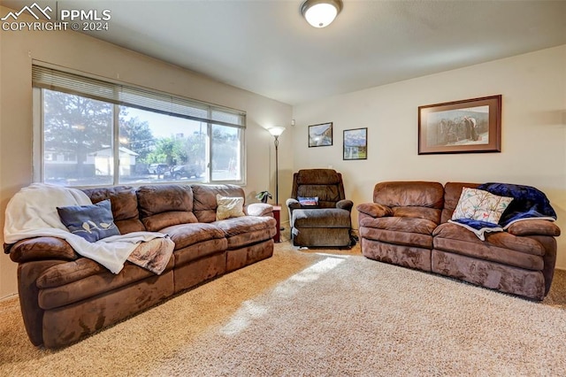 view of carpeted living room