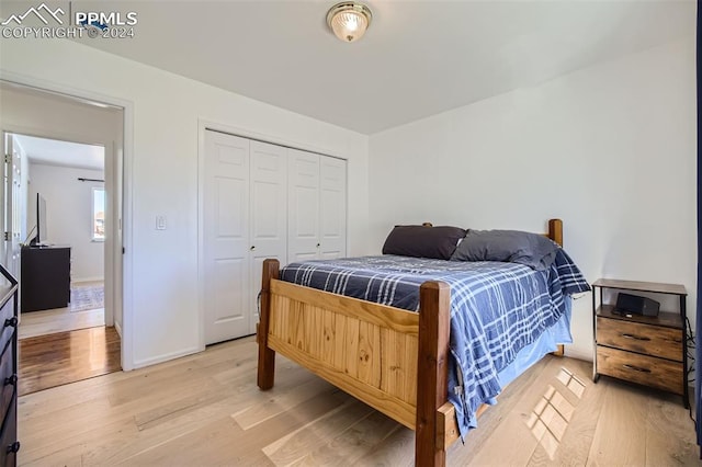 bedroom with a closet and hardwood / wood-style flooring