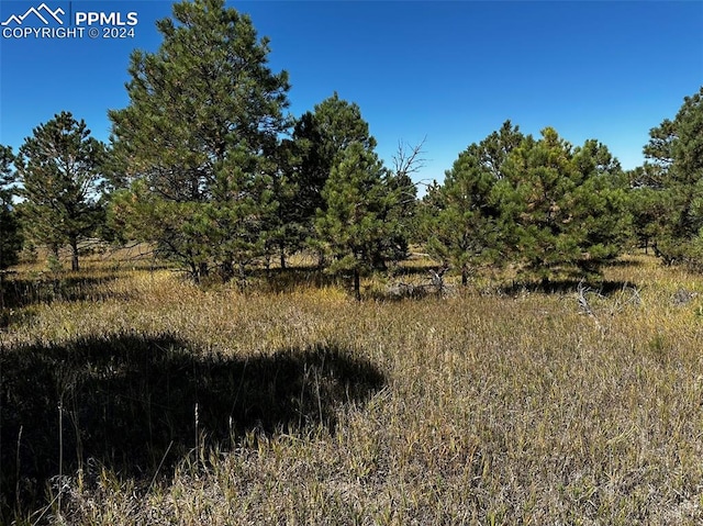 5435 Old Stagecoach Rd, Colorado Springs CO, 80908 land for sale