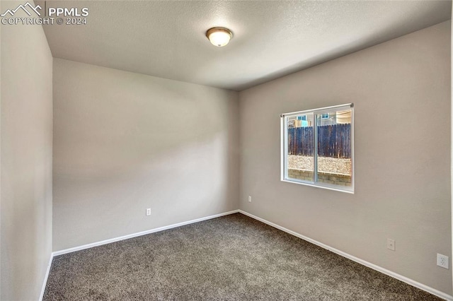 empty room featuring a textured ceiling and carpet flooring