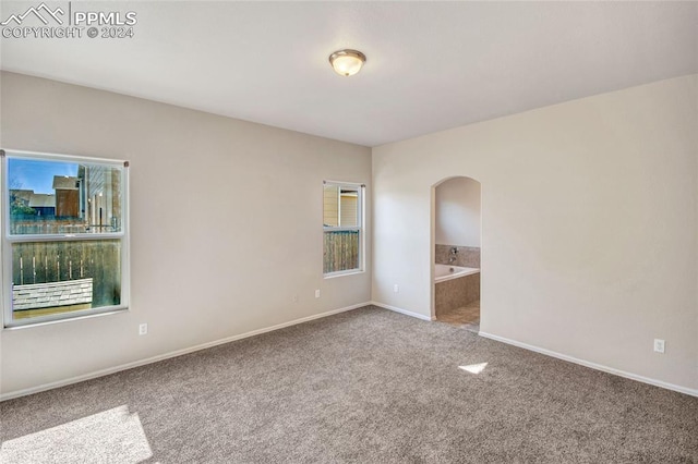 unfurnished room with carpet floors