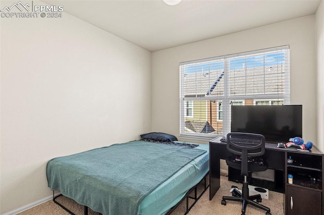 bedroom featuring light carpet