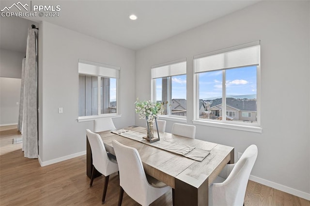 dining room with hardwood / wood-style flooring