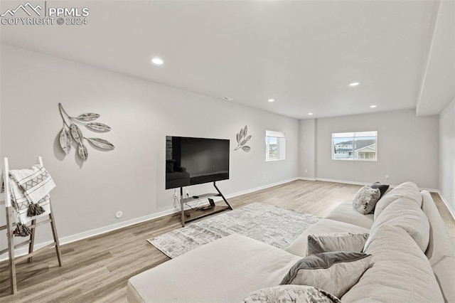 living room featuring light hardwood / wood-style flooring