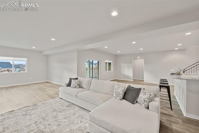 living room with wood-type flooring and a healthy amount of sunlight