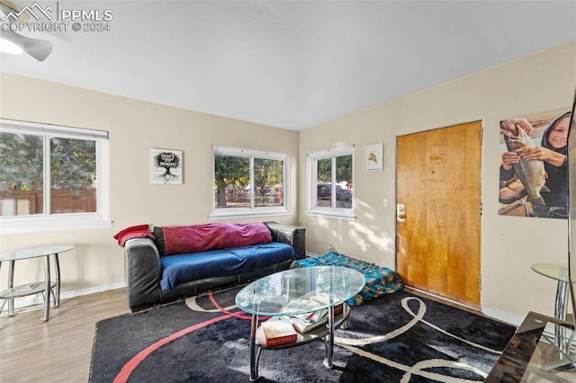 living room featuring hardwood / wood-style floors