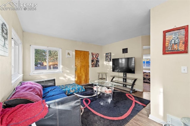 living room with light hardwood / wood-style floors