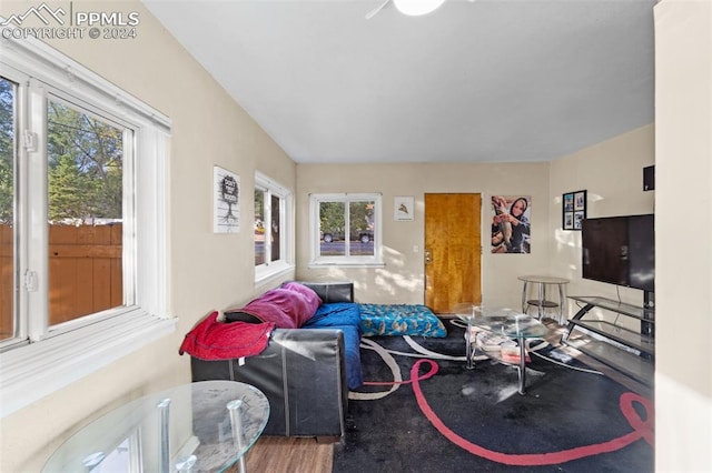 living room with a wealth of natural light and hardwood / wood-style floors