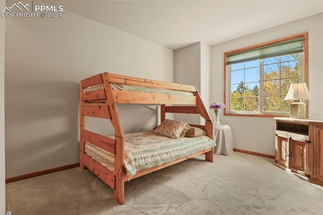 bedroom featuring baseboards and carpet