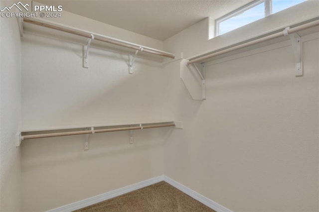 walk in closet with carpet