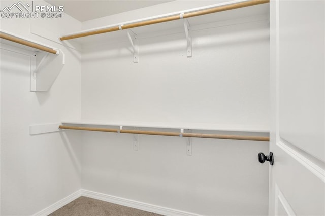 walk in closet with carpet flooring