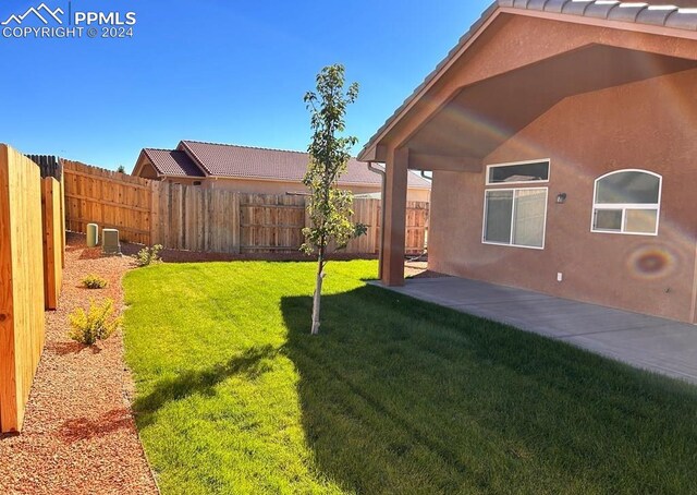 view of yard featuring a patio