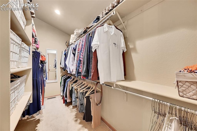 walk in closet featuring carpet flooring