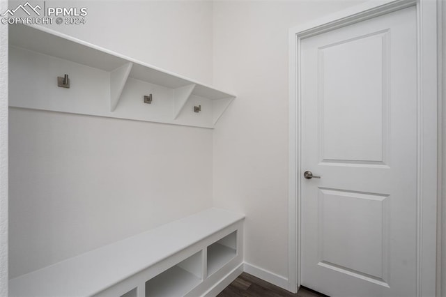 mudroom featuring dark wood-type flooring