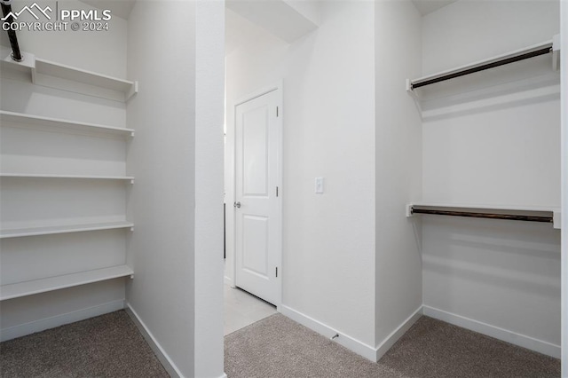 spacious closet featuring carpet flooring