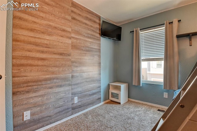 unfurnished room featuring wooden walls and carpet