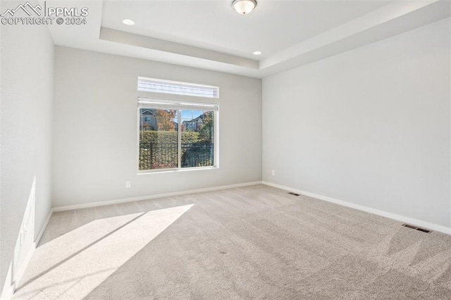 carpeted spare room featuring a raised ceiling