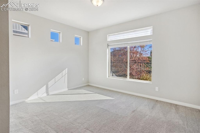 spare room featuring light colored carpet and a healthy amount of sunlight