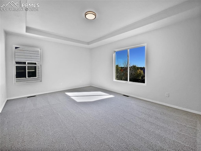 carpeted spare room with a raised ceiling