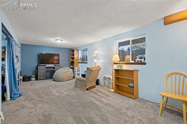 living area with carpet and a textured ceiling