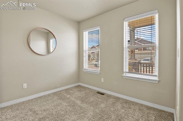 spare room with carpet floors