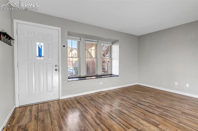 entryway featuring wood-type flooring