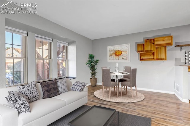 living room featuring wood-type flooring