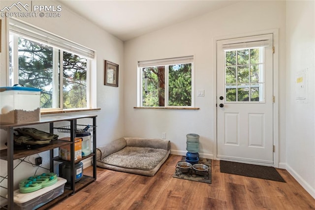 living area featuring wood-type flooring, vaulted ceiling, and a wealth of natural light