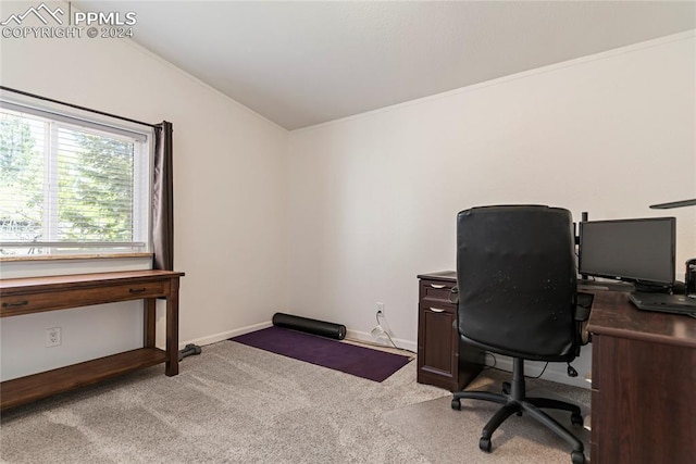 view of carpeted office space