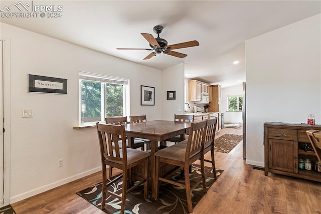 dining space with light hardwood / wood-style floors, plenty of natural light, and ceiling fan