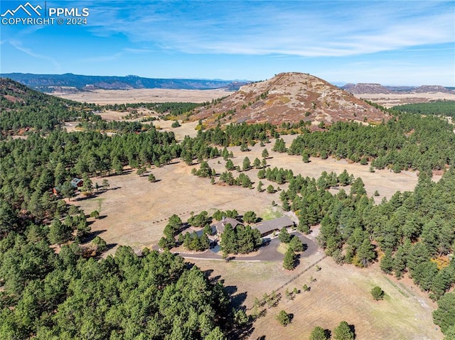 drone / aerial view featuring a mountain view