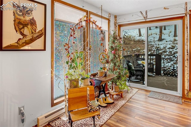 entryway featuring hardwood / wood-style floors