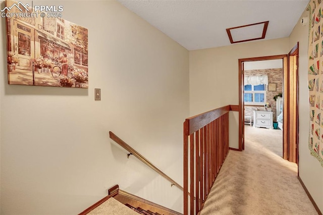 staircase with carpet flooring