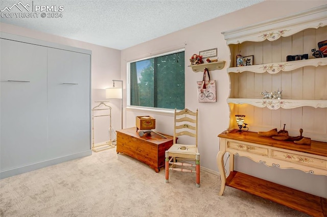 sitting room with a textured ceiling and light colored carpet