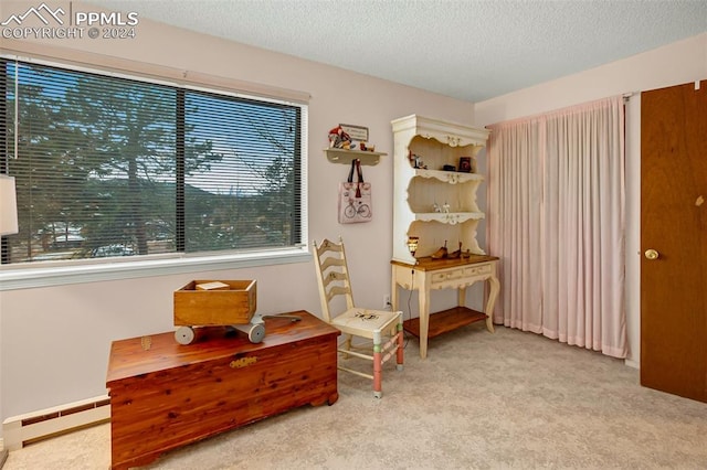 sitting room featuring light carpet, a textured ceiling, and baseboard heating