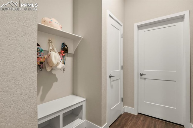 mudroom with dark wood-type flooring