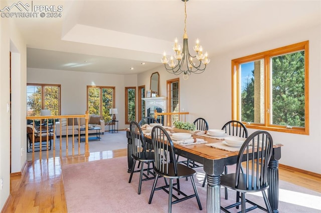 dining room with a notable chandelier, light wood-type flooring, and a wealth of natural light