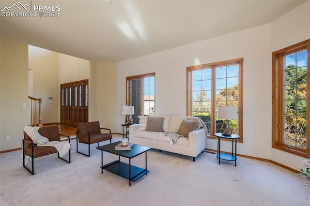 living room with light carpet