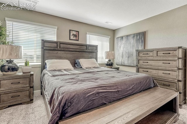 bedroom with light colored carpet