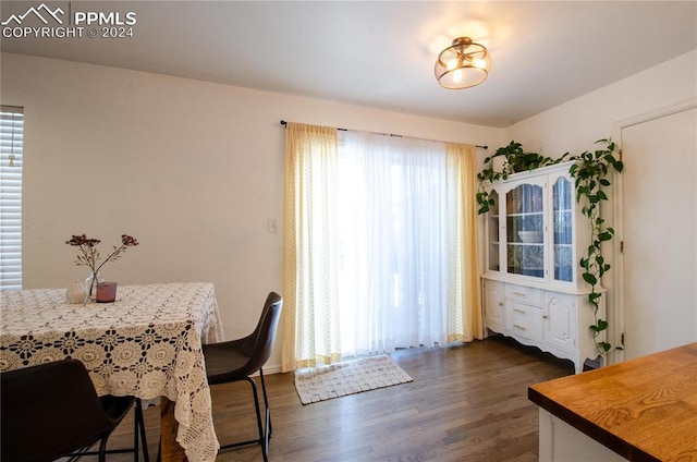 dining room featuring dark wood-type flooring