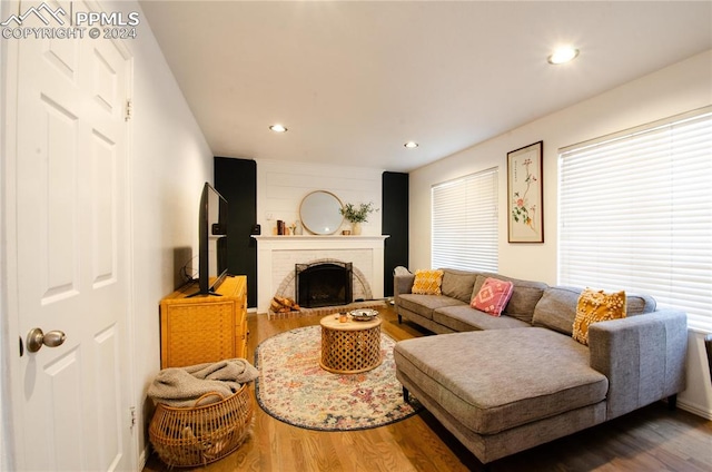 living room with dark wood-type flooring and a fireplace