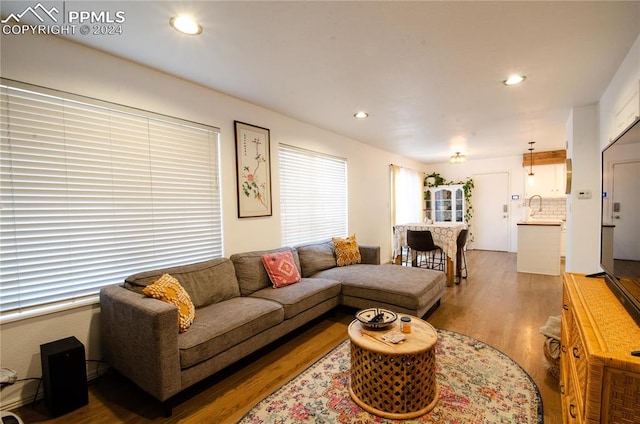 living room with wood-type flooring