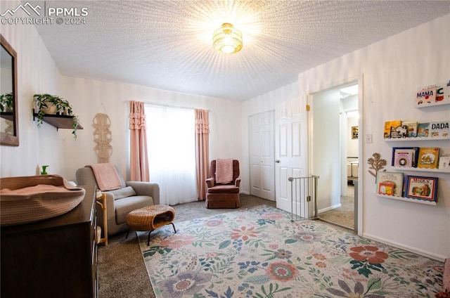 living area with carpet floors and a textured ceiling